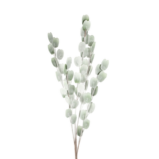 Bouquet fiori secchi di campo color ocra o verde – SaroDesign