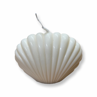 Candela decorativa shell