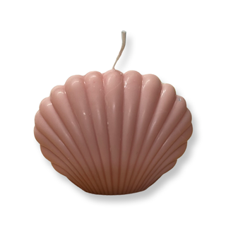 Candela decorativa shell