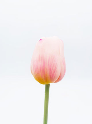 Tulipano artificiale natural touch