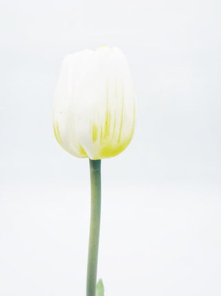 Tulipano artificiale natural touch